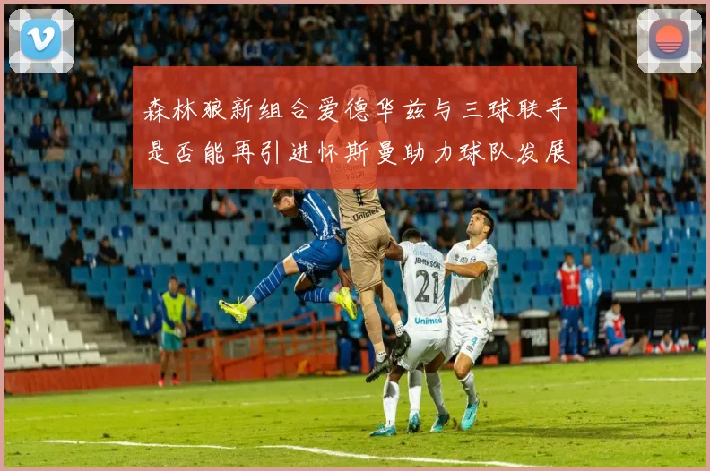 森林狼新组合爱德华兹与三球联手是否能再引进怀斯曼助力球队发展