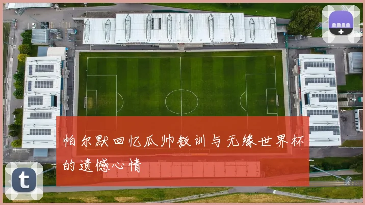 帕尔默回忆瓜帅教训与无缘世界杯的遗憾心情