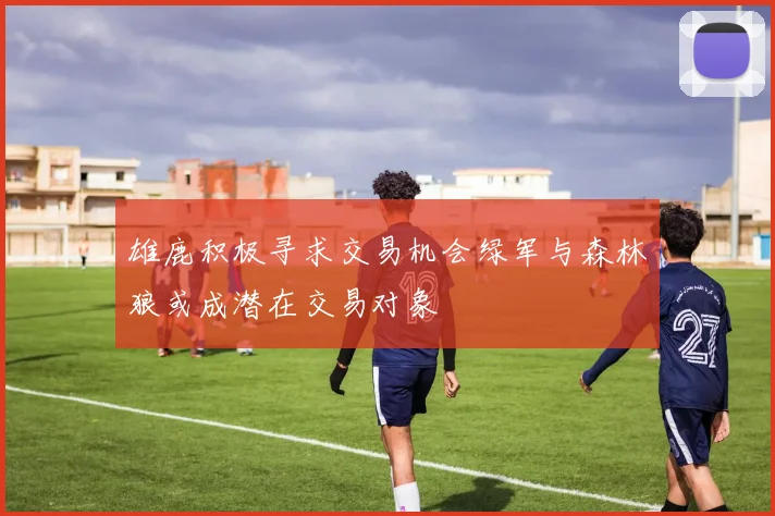 雄鹿积极寻求交易机会绿军与森林狼或成潜在交易对象